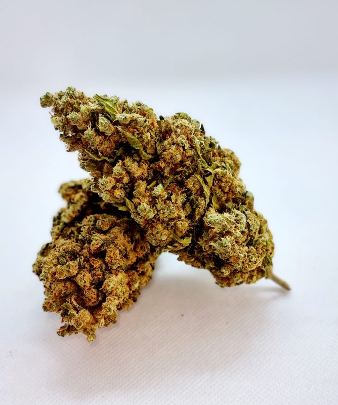 AK 47
