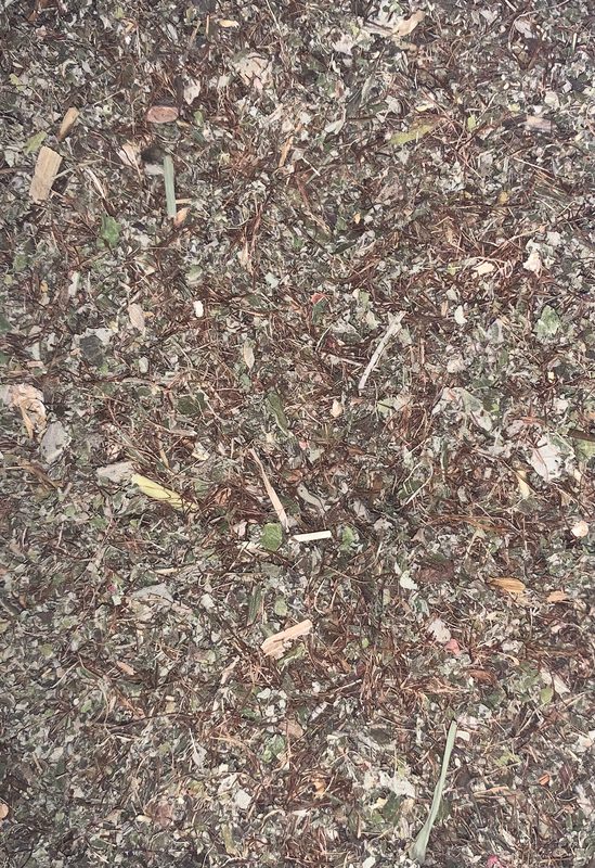 Substitut de tabac, la Douceur