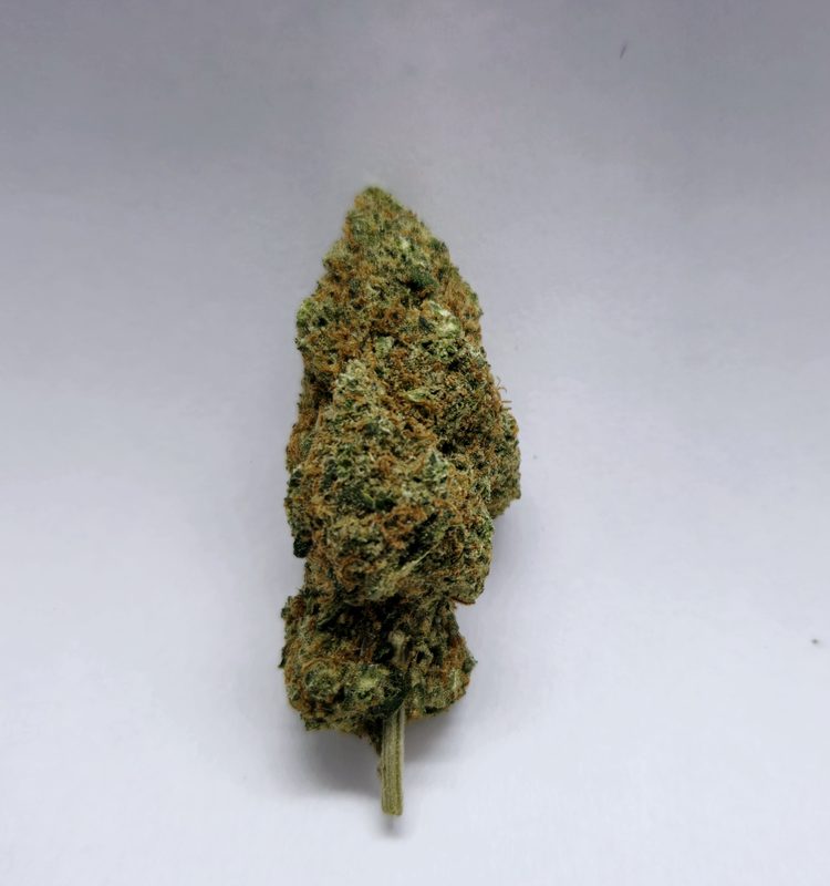 Blueberry