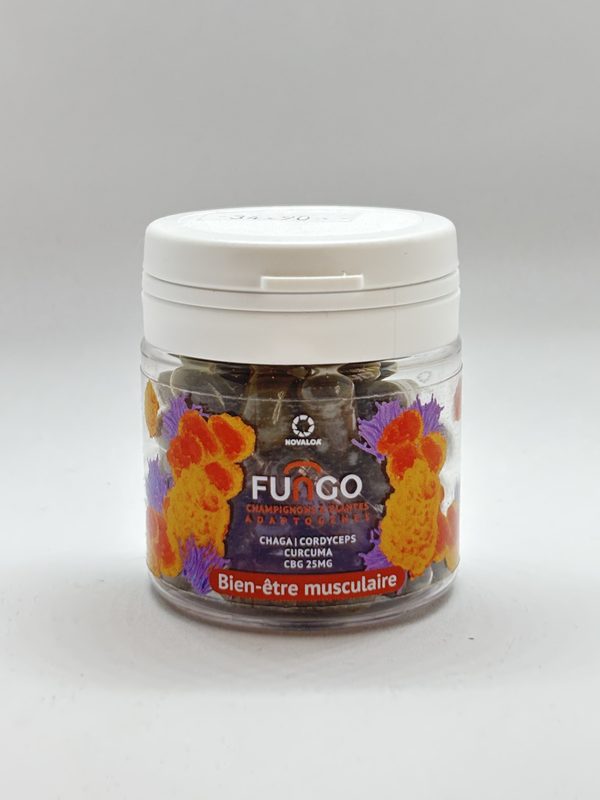 Fungo Champignon et Plantes Adaptogènes (Musculaire))