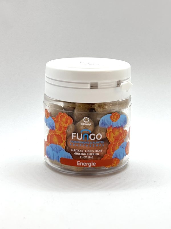 Fungo Champignon et Plantes Adaptogènes (Energie)