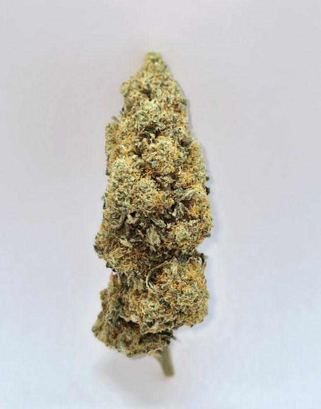Lemon Tree