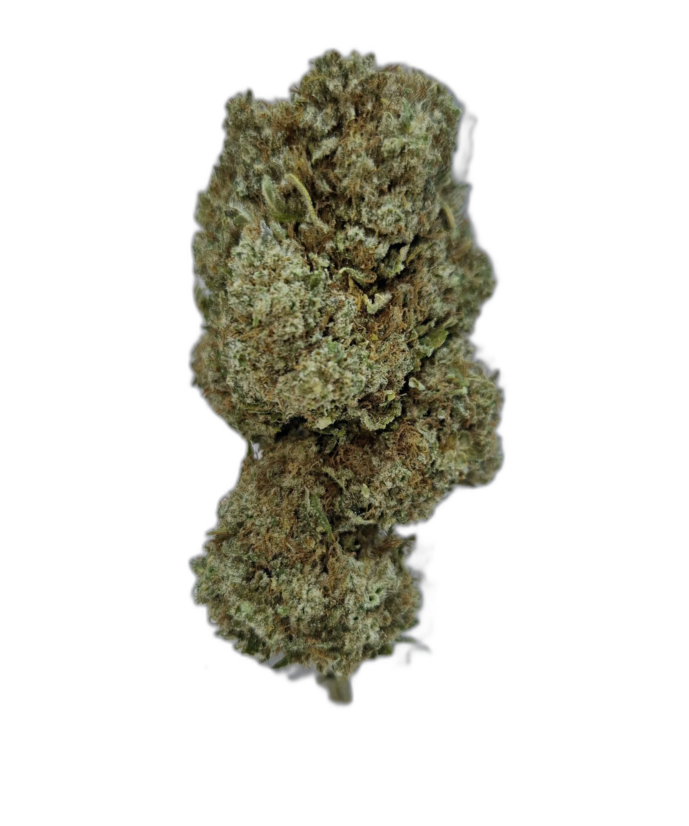 Exotic punch