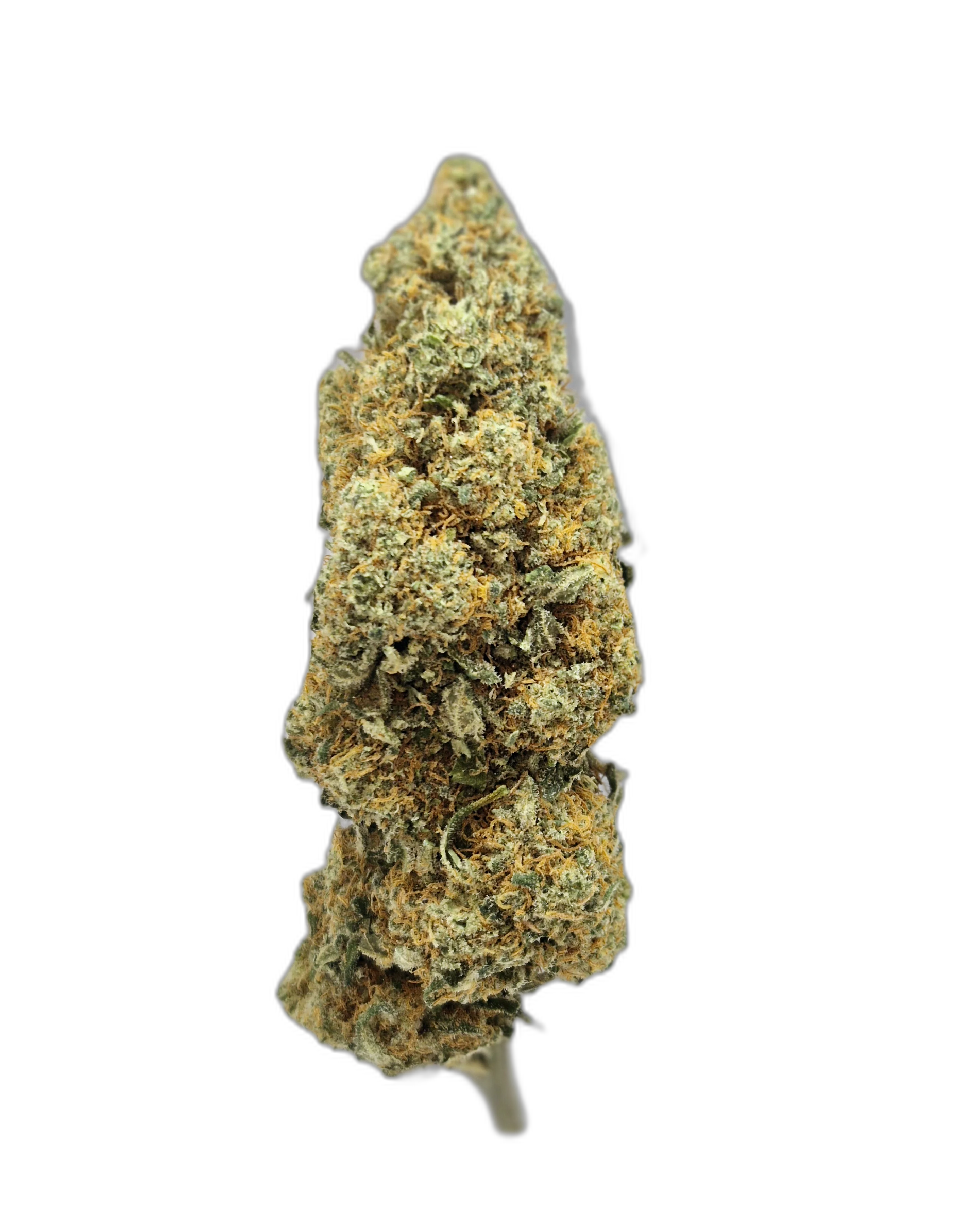 Lemon Tree