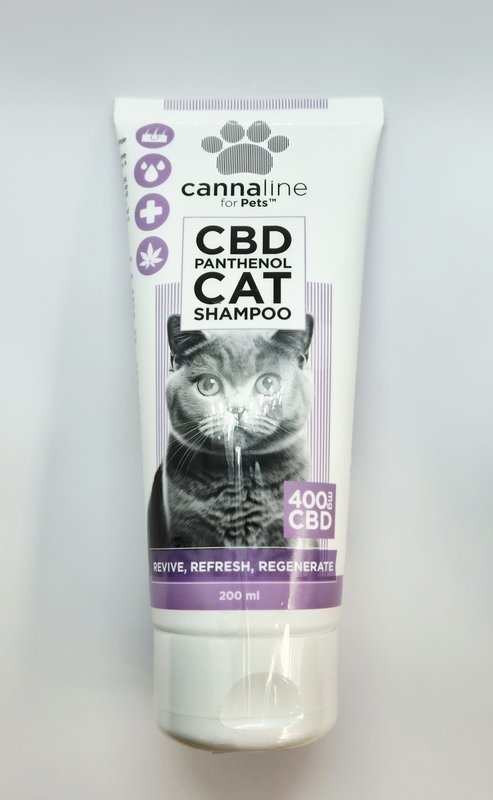 Shampoing chat