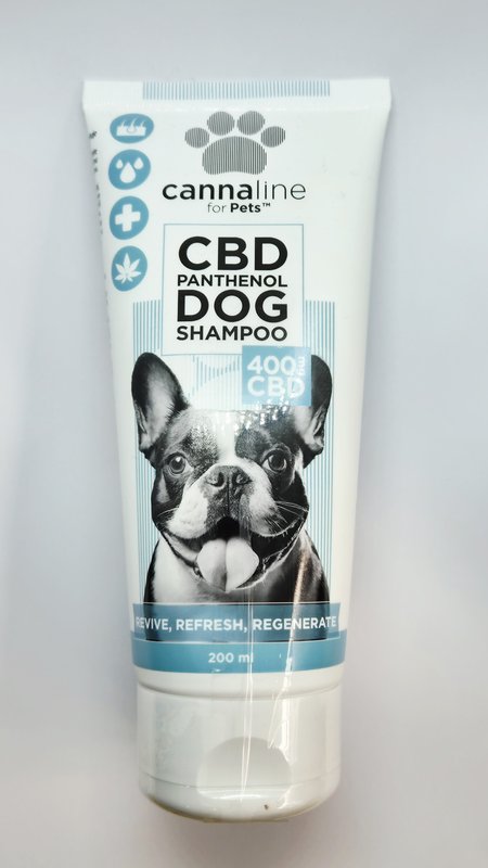 Shampoing chien
