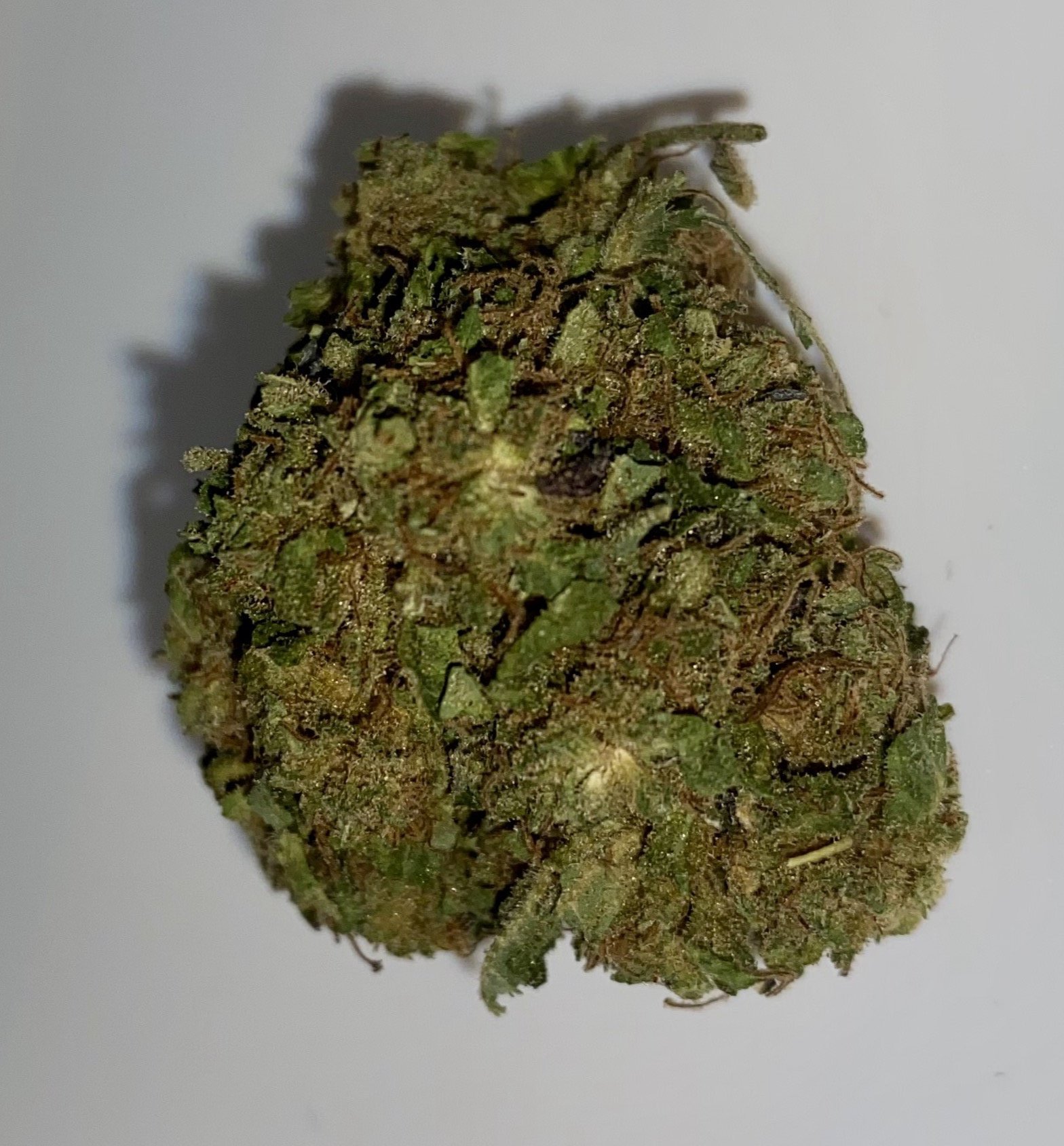 White widow